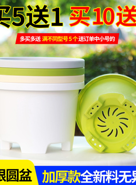 加厚矮款树脂花盆塑料透气球根郁金香百合朱顶红草莓苗蝴蝶兰花盆