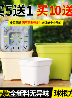 方形矮胖树脂花盆塑料透气球根蝴蝶兰百合种球朱顶红草绿植小花盆