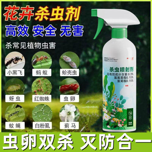 蚧壳虫专用药蚧必治幸福树兰太阳花多肉杀虫剂花卉植物药剂介壳虫