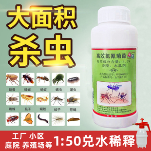 蚊蝇一夏净杀虫剂灭蟑螂苍蝇药家用户外养殖场大面积杀蚊子喷雾剂