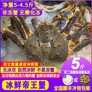 帝王蟹鲜活冰鲜超大俄罗斯皇帝蟹特大霸王蟹海鲜水产螃蟹4-10斤只