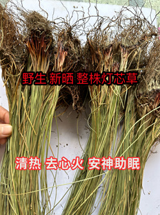 农家自采晒干 灯心草中药材干品龙须草虎须草席秧草水灯心 清心草