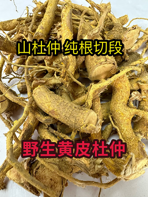 福建野生纯根天然黄皮杜仲山杜仲中药材干品草根汤料熬肉炖汤500g
