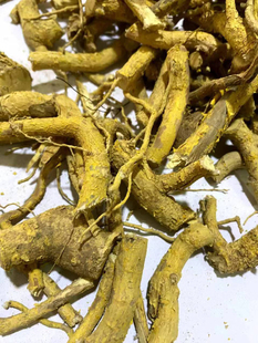 福建中草药材 黄皮杜仲纯根 山杜仲  炖汤 泡酒