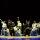 Молодежный стиль напоминает об эпохе Циньюаньчуня, костюмы для студенческих выступлений, Танец снежной девушки, Пробуждение Китайской Республики, 1911, Групповой танец, костюм Четвертого мая. mini 3