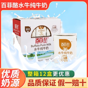 廣西百菲酪水牛純牛奶高鈣奶兒童早餐奶廣西水牛奶 整箱12盒裝
