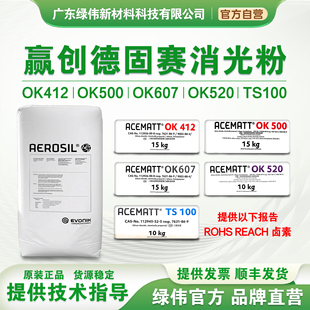 OK607 赢创德固赛进口消光粉OK520 OK500 OK412 涂料哑光 TS100