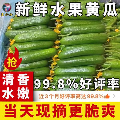 寿光水果黄瓜生吃脆新鲜脆嫩青瓜当季无刺小黄瓜水果蔬菜现摘整箱