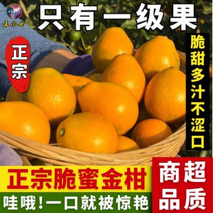 四川大凉山德昌脆蜜金桔脆蜜金柑新鲜水果纯甜无籽现摘第三代金桔
