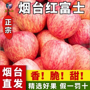 烟台红富士苹果栖霞新鲜水果不打蜡优质脆甜一级大果王小七精选