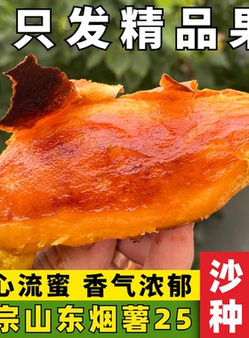 山东烟薯25号蜜薯糖心红薯流油正宗烤红薯沙地地瓜番烟薯香甜山芋