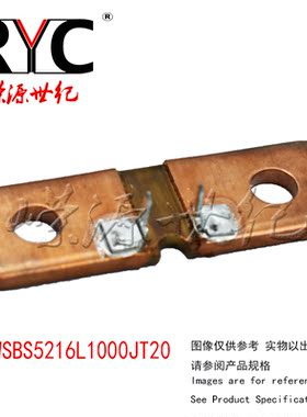 WSBS5216L1000JT20 VISHAY 特种电阻器 100µOhms ±5% 12W分流器