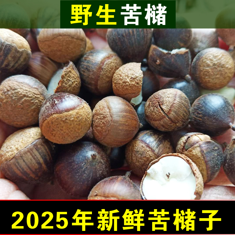 苦槠子苦槠豆腐原料野生苦珠子