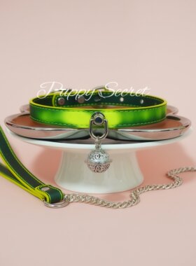 PUPPYRIDER亚文化暗黑温变项圈女