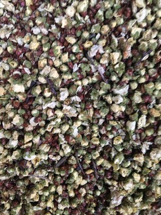 花草茶绿梅花新货白梅花干茶绿萼梅花纯无硫干货散装250克腊梅花