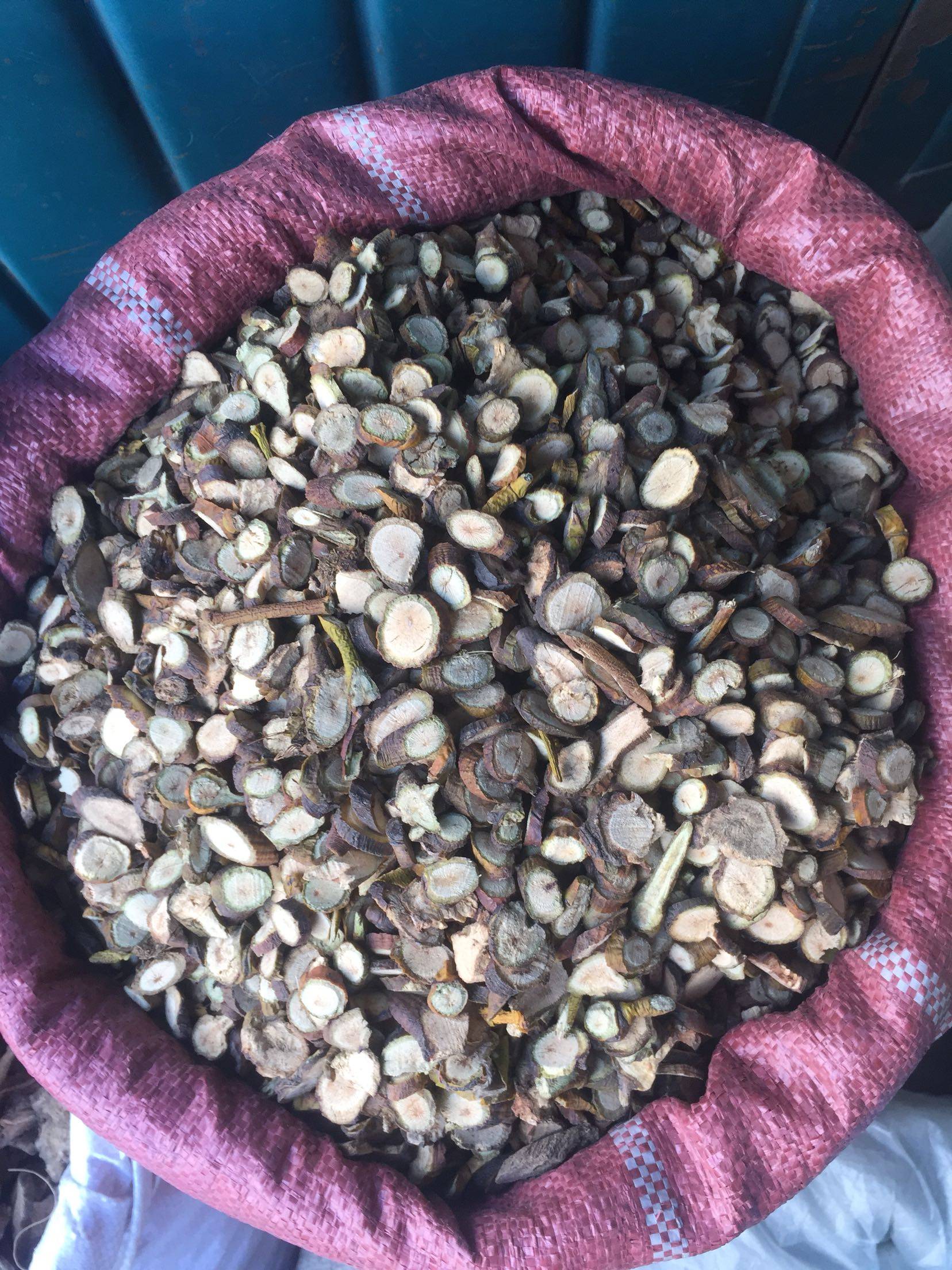 中药材 桑寄生 槲寄生 野生 桑寄生茶 免邮500克包邮可磨桑寄生粉