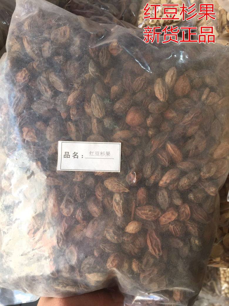 中药材红豆杉果500g包邮红豆杉果子种子富紫杉醇红豆杉子草药