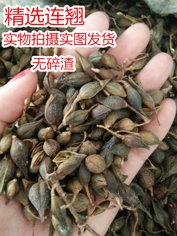 中药材无碎扎连翘青翘落翘汉中贯叶连翘黄翘可磨连翘粉250克包邮