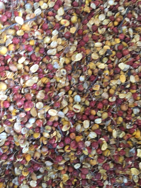 合欢花花茶250克包邮正宗合欢花纯天然新鲜散装泡茶泡水花草茶