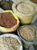 白果肉 甜杏仁 楼上南北杏炒杏仁生杏仁杏杏仁粉 苦杏仁 去皮