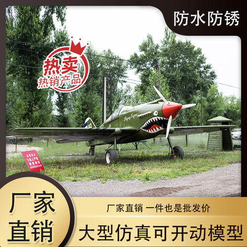 二战柯蒂斯P40飞机模型大型