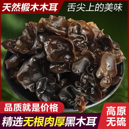 甘肃特产康县木耳特选级干货林下仿野生椴木小黑耳非东北木耳无根