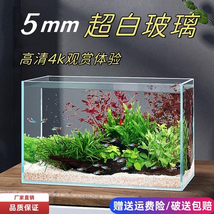 超白玻璃新款鱼缸桌面客厅生态造景龟缸金鱼缸斗鱼专用缸小型家用
