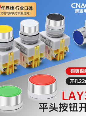 自复位按钮开关LAY37-11BN(Y090)PBC点动平头圆形自锁开关按钮22M