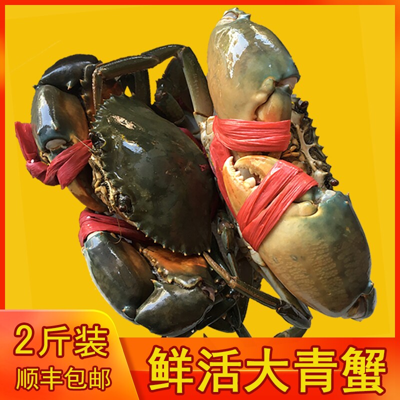 渔民青蟹(2斤装3-5只)青蟹海蟹公螃蟹鲜活海鲜中秋节好礼品包顺丰