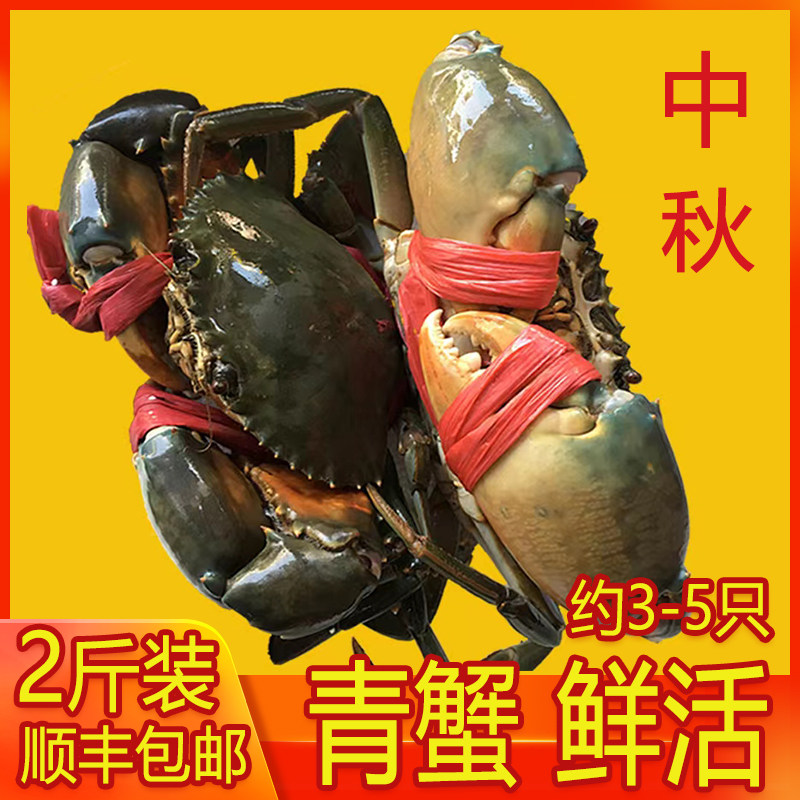 渔民青蟹(2斤装3-5只)青蟹海蟹公螃蟹鲜活海鲜中秋节好礼品包顺丰