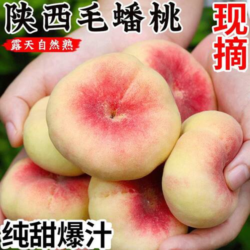 陕西现摘毛蟠桃新鲜整箱5斤头茬