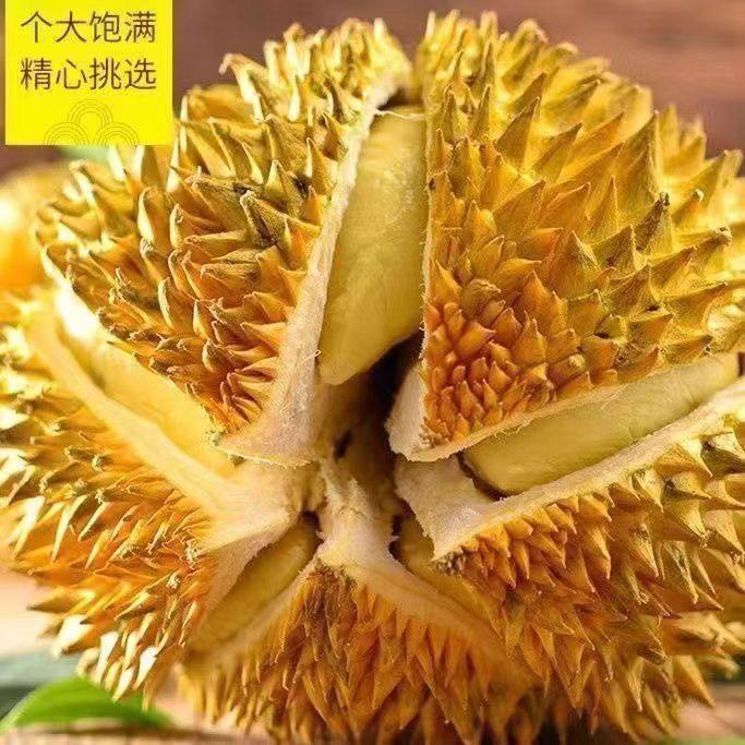 【顺丰】泰国金枕榴莲进口新鲜水果一级整个箱应季足斤头巴掌肉大