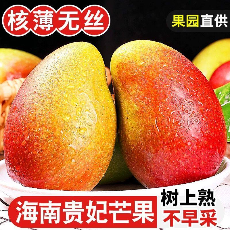 正宗海南贵妃芒果新鲜水果树上熟红金龙甜芒果当季现摘直销九斤装