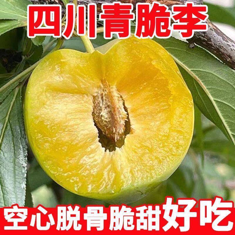 四川青脆李子新鲜水果脱骨李当季现摘冰糖蜂糖李子果农直发5斤