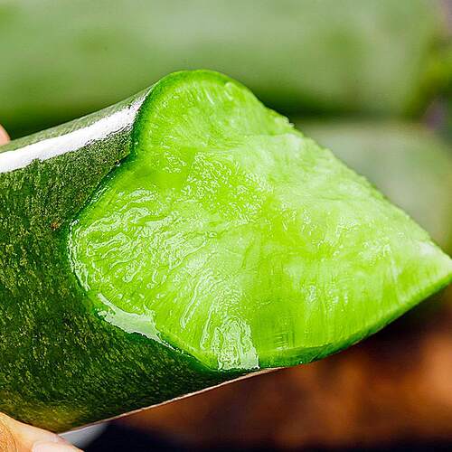 天津正宗沙窝萝卜脆甜汁冬吃萝卜