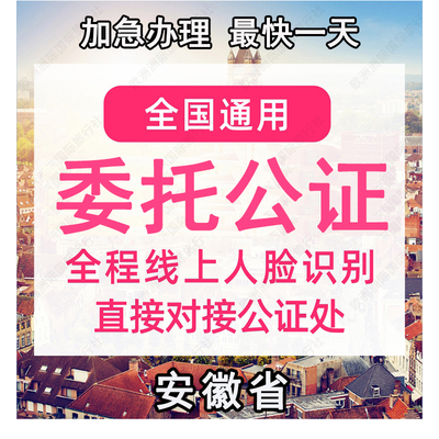 安徽省公证处委托书声明签名字出行同意书证据保全过户异地远程
