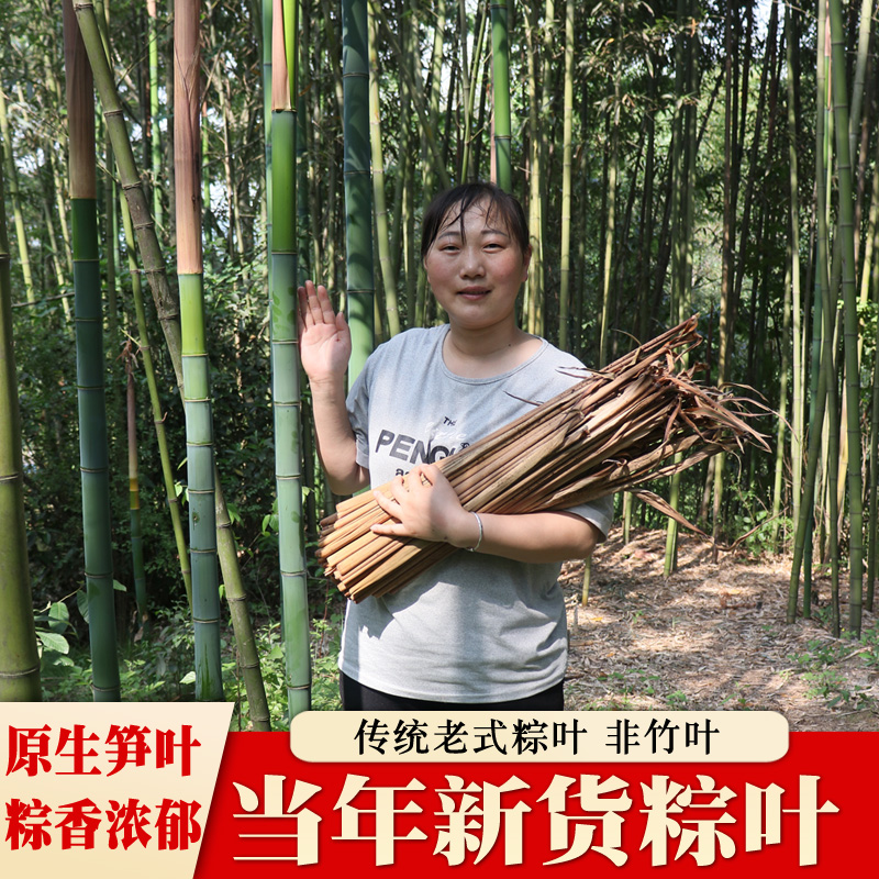 端午节包粽子传统老式粽叶竹笋壳