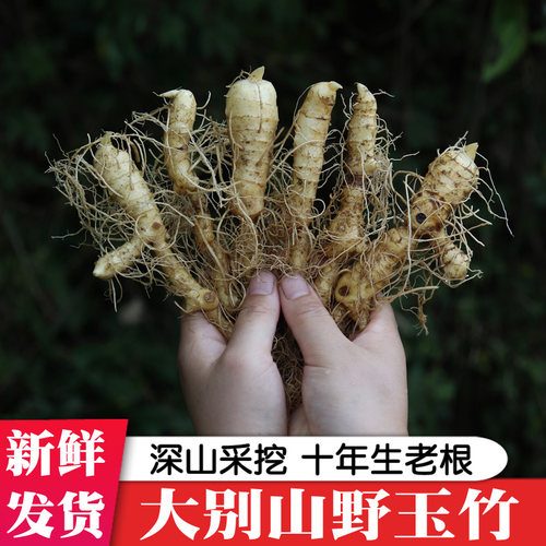 玉竹新鲜玉竹片条干品玉竹茶中药材苗尾参北沙参正品种植