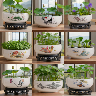 水仙花盆陶瓷大号家用碗莲专用花盆铜钱草一叶莲水培器皿睡莲盆缸