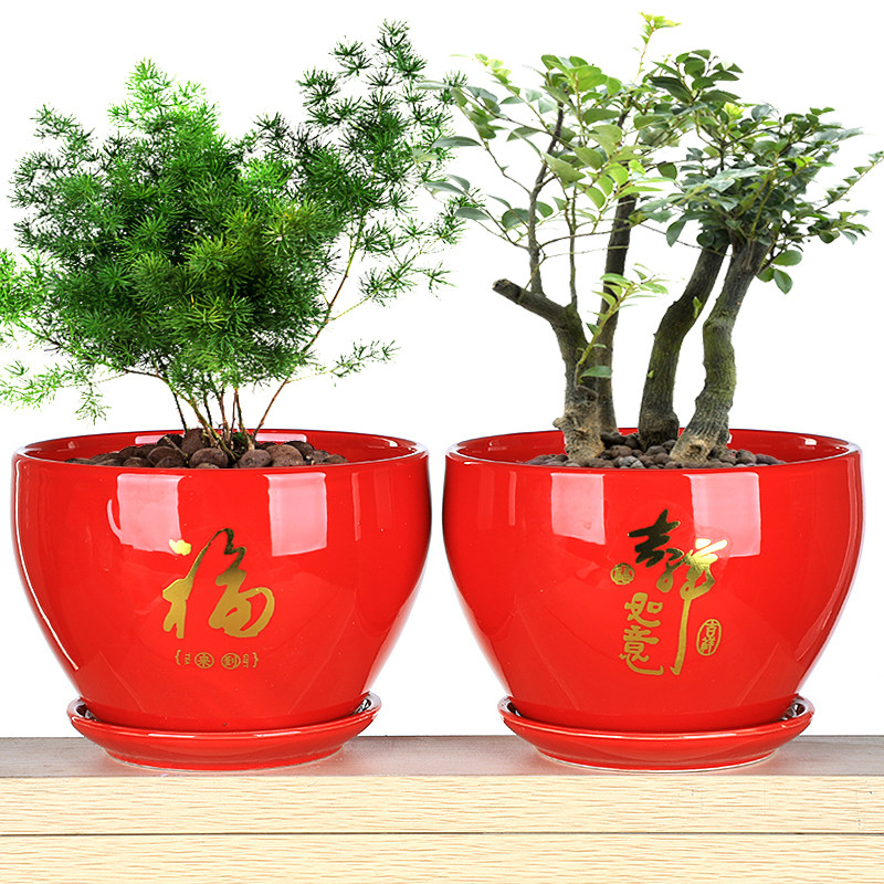 中国红福字花盆陶瓷大号室内桌面圆形特大号简约喜庆比美冬青花盆,鲜花速递/花卉仿真/绿植园艺,花盆,淘宝优惠券,粉丝福利购,淘宝优惠卷