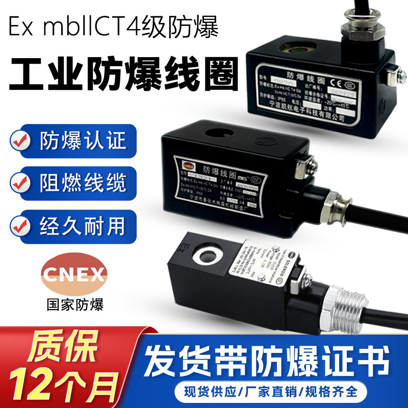 防爆线圈电磁脉冲阀气体粉尘防爆