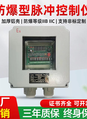 防爆型脉冲控制仪在线离线布袋除尘器专用控制器1-100路24V220V