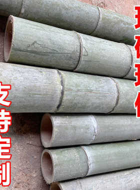 新鲜楠竹可定制现做原生态笔筒
