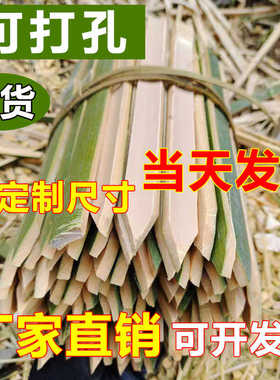地插放样竹桩工程测绘竹签工地测量竹片放线竹桩毛竹桩竹条