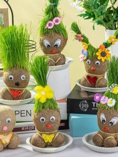 头上长草娃娃草头开花儿童种植小盆栽种草绿植观察植物生长幼儿园