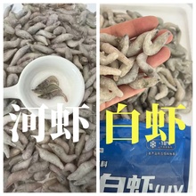 顺丰冷链包邮北水新鲜手工冷冻虾泥鳅段龙虎魟麦穗山根丁鱼食饲料