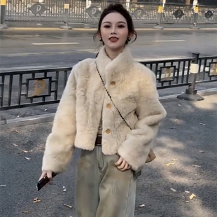 短款立领高级感羊羔毛外套女装冬季小个子爆款时尚超好看加厚上衣