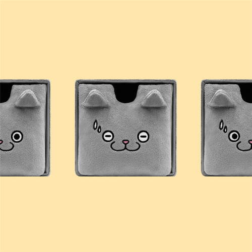 CATXMAN猫星侠方形小号收纳箱