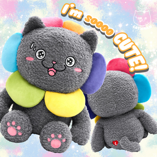 CATXMAN 周柏豪 限量Plus版花朵造型猫星侠毛絨公仔