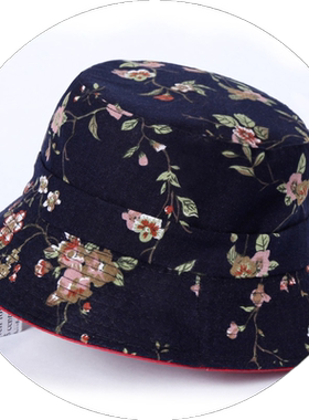 中老年人帽子女春秋天四季休闲布帽老人妈妈奶奶渔夫帽妈妈礼帽